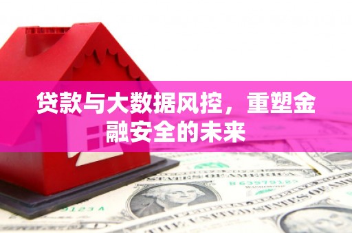 定结贷款与大数据风控，重塑金融安全的未来