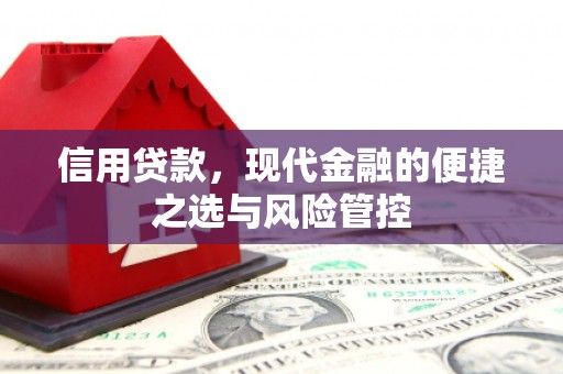 定结信用贷款，现代金融的便捷之选与风险管控