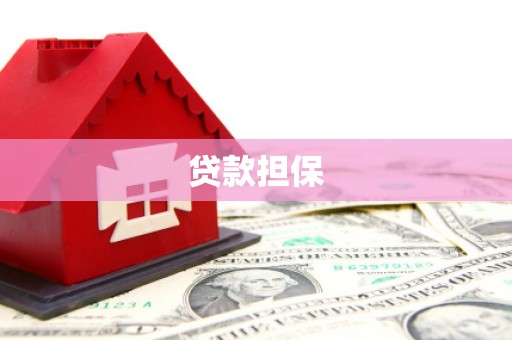 定结贷款担保