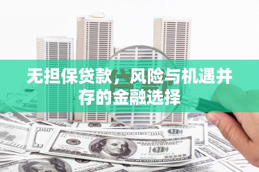 定结无担保贷款，风险与机遇并存的金融选择