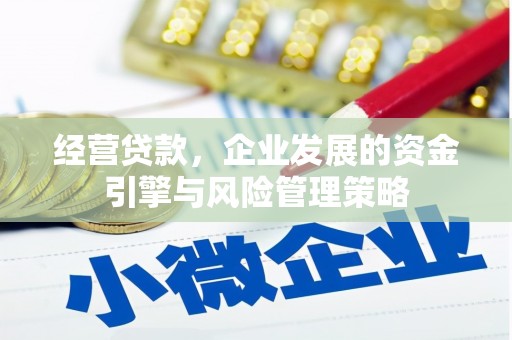 定结经营贷款，企业发展的资金引擎与风险管理策略