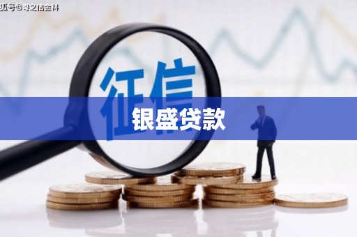 定结银盛贷款