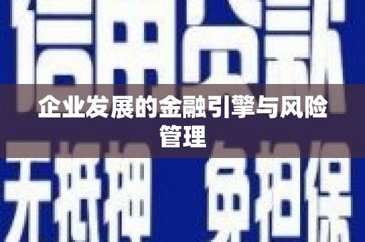 定结企业发展的金融引擎与风险管理