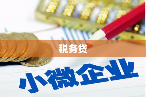 定结税务贷