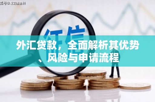 定结外汇贷款，全面解析其优势、风险与申请流程