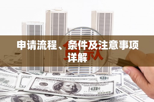 定结申请流程、条件及注意事项详解