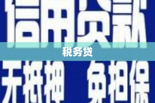 定结税务贷