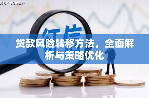 定结贷款风险转移方法，全面解析与策略优化