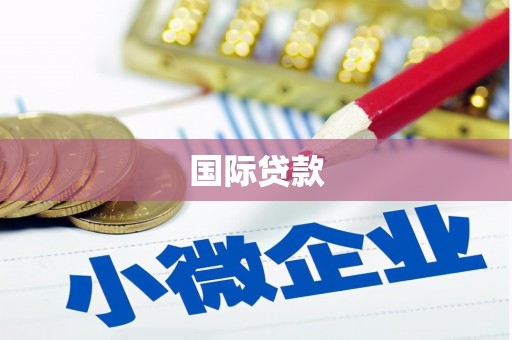 定结国际贷款