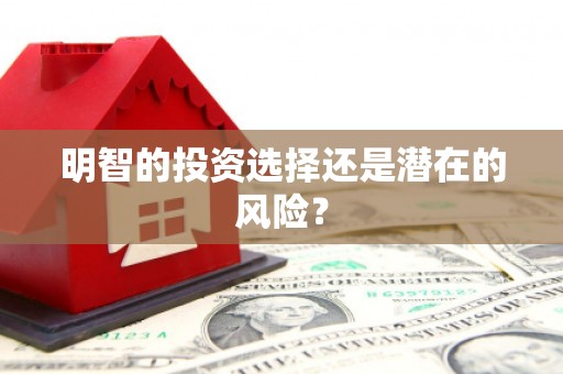 定结明智的投资选择还是潜在的风险？