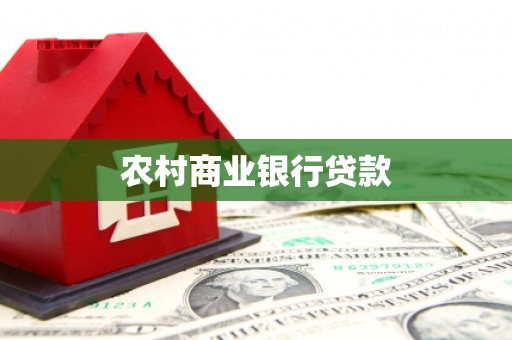 定结农村商业银行贷款