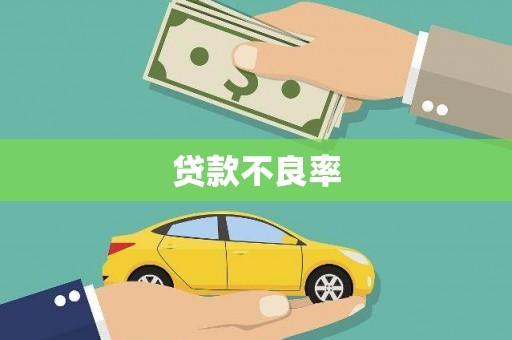 定结贷款不良率