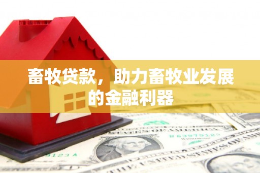 定结畜牧贷款，助力畜牧业发展的金融利器