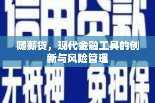 定结随薪贷，现代金融工具的创新与风险管理