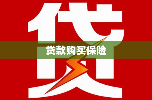 定结贷款购买保险