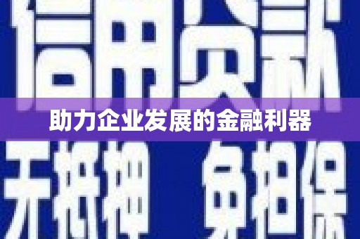 定结助力企业发展的金融利器