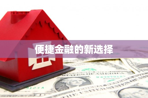 定结便捷金融的新选择
