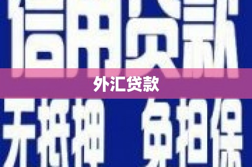 定结外汇贷款
