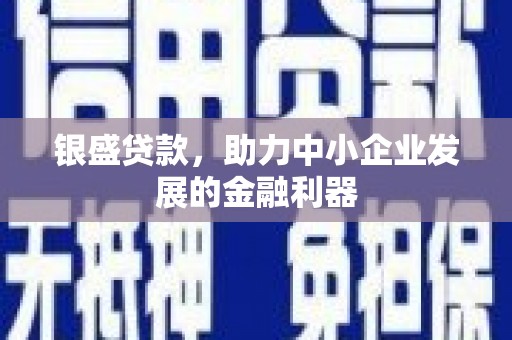 定结银盛贷款，助力中小企业发展的金融利器