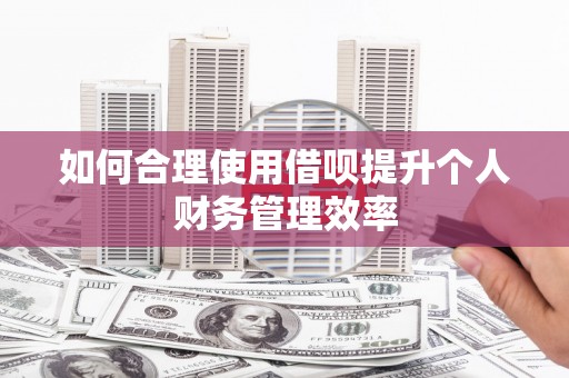 定结如何合理使用借呗提升个人财务管理效率