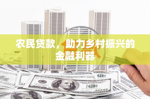 定结农民贷款，助力乡村振兴的金融利器