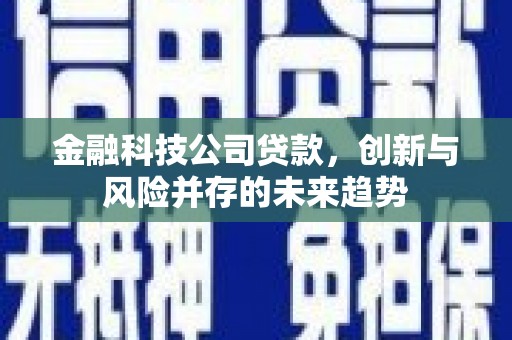 定结金融科技公司贷款，创新与风险并存的未来趋势