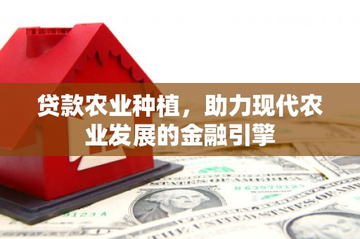 定结贷款农业种植，助力现代农业发展的金融引擎