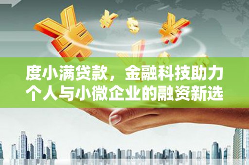 定结度小满贷款，金融科技助力个人与小微企业的融资新选择