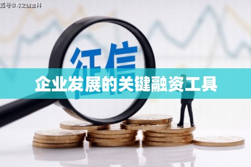 定结企业发展的关键融资工具