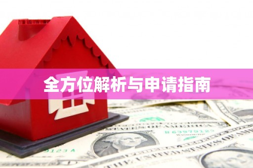定结全方位解析与申请指南