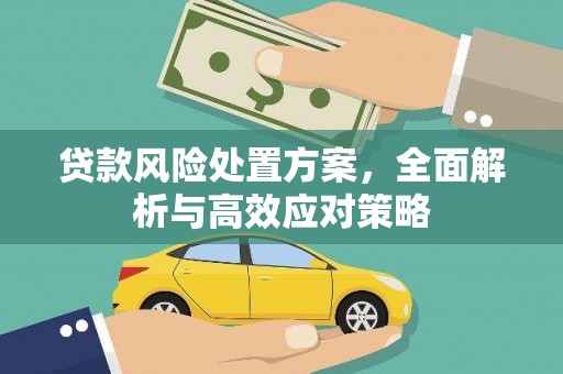 定结贷款风险处置方案，全面解析与高效应对策略