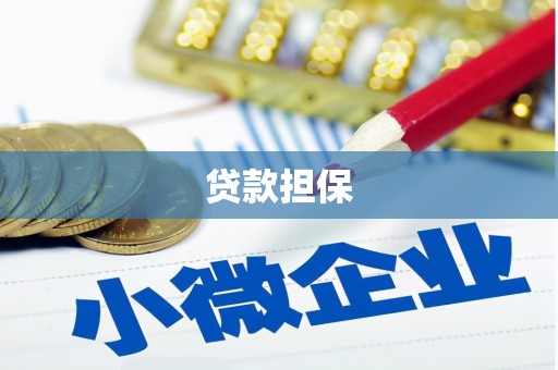 定结贷款担保