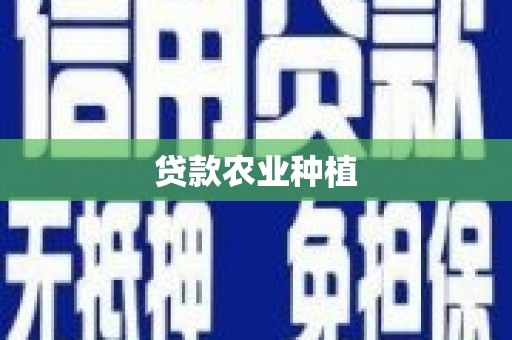 定结贷款农业种植