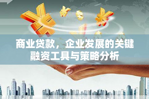 定结商业贷款，企业发展的关键融资工具与策略分析