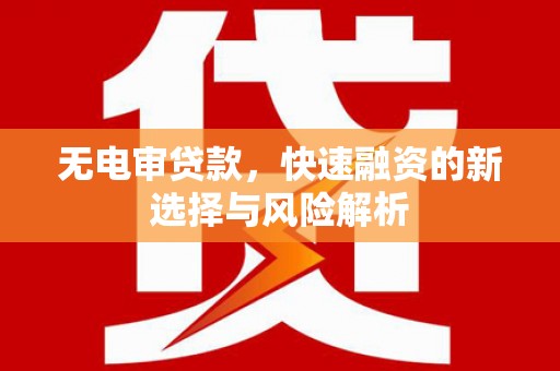 定结无电审贷款，快速融资的新选择与风险解析