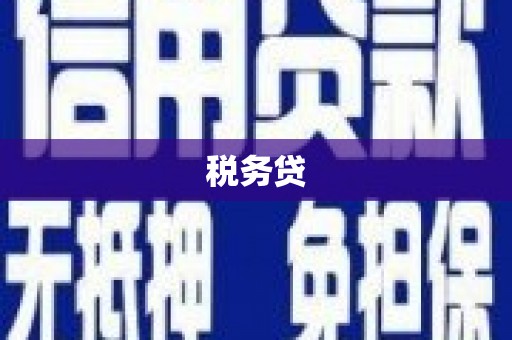 定结税务贷