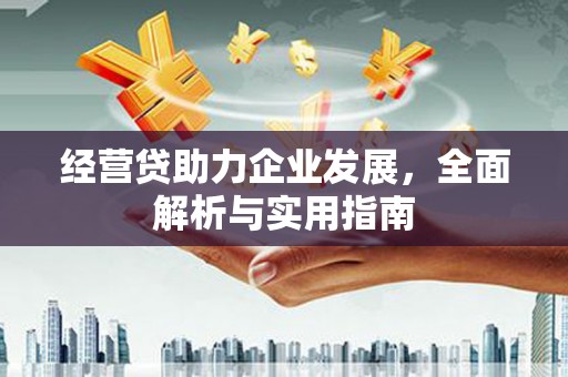 定结经营贷助力企业发展，全面解析与实用指南