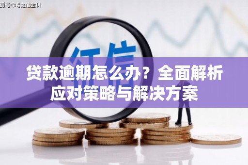 定结贷款逾期怎么办？全面解析应对策略与解决方案