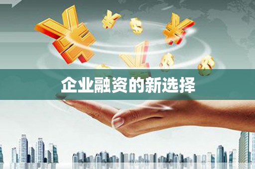 定结企业融资的新选择