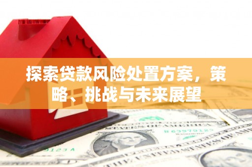 定结探索贷款风险处置方案，策略、挑战与未来展望