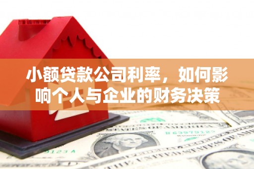 定结小额贷款公司利率，如何影响个人与企业的财务决策