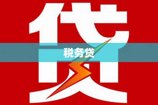 定结税务贷