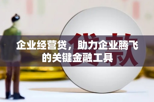 定结企业经营贷，助力企业腾飞的关键金融工具