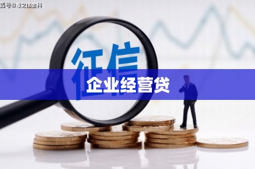 定结企业经营贷