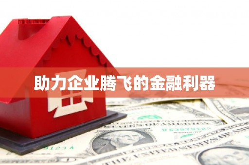 定结助力企业腾飞的金融利器
