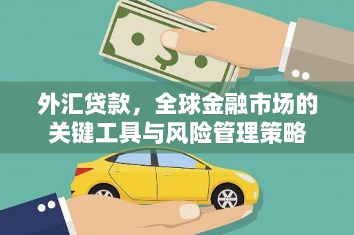 定结外汇贷款，全球金融市场的关键工具与风险管理策略