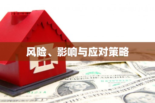 定结风险、影响与应对策略