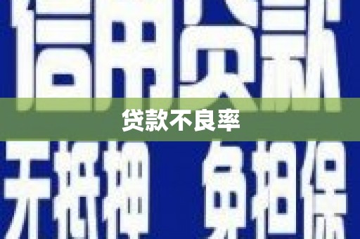 定结贷款不良率