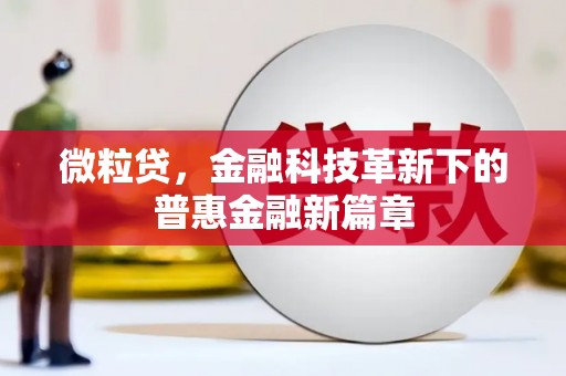 定结微粒贷，金融科技革新下的普惠金融新篇章