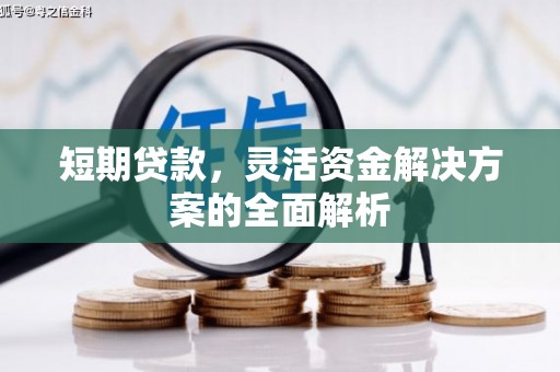 定结短期贷款，灵活资金解决方案的全面解析